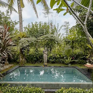 Moringa Villa