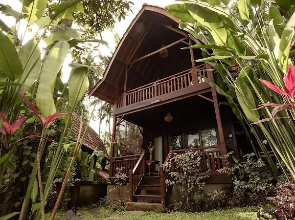 The Jungle Villa Family Ubud