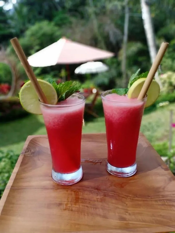 The Jungle Villa Family Ubud  Indonesia